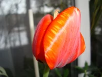 DSC03467.webp