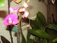 P1180201.webp