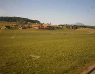 P8010158.webp