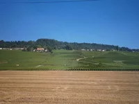 P8010166.webp