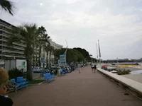 P8060287.webp