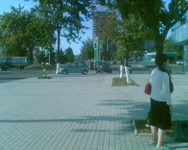 .webp