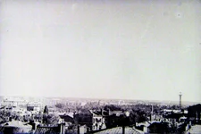 5455-2.webp