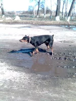 ____034.webp