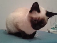 20130121_234727[1].webp