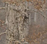 1358775814_327_pics-073.webp