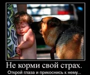 prev_16.webp
