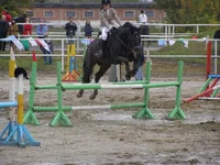 4.webp