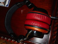 DSC01344.jpg