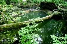 1_VT6N0727.webp