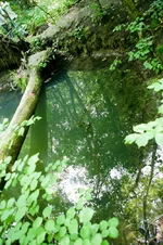 1_VT6N0729.webp