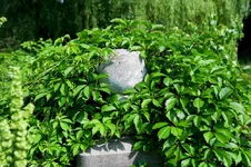 1_VT6N0752.webp