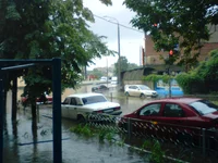 DSC00083.webp