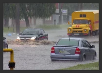 DSCN7867_flood.webp