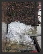 DSCN7874_flood.webp