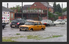 DSCN7876_flood.webp