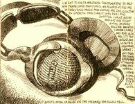 headphones44144.jpg