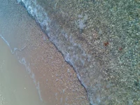 003.webp