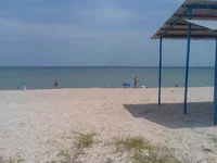 009.webp