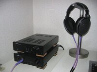 Setti_800.jpg