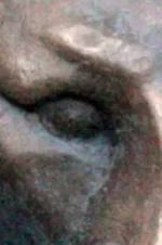  2 3.webp