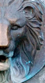 DSC_2856 crop.webp