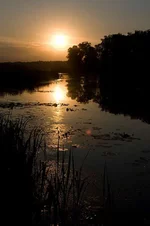 IMG_1837.webp