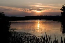 IMG_1875.webp