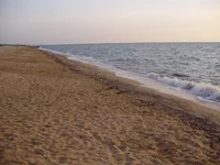 123 583.webp