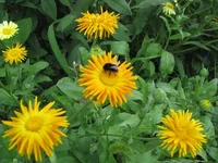IMG_2470.webp