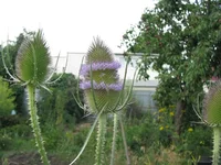 IMG_2480.webp