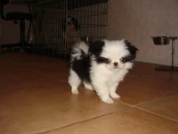 DSC08224.webp