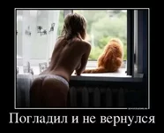 101908_pogladil-i-ne-vepnylcya.webp