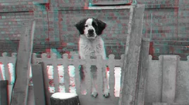 DSCF9025a.webp
