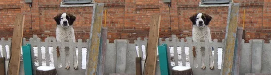 DSCF9025b.webp