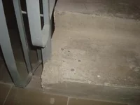 DSC03960.webp