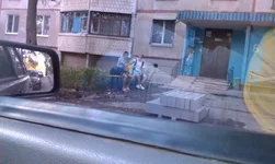 IMAG0037.webp