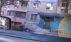 IMAG0038.webp