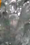 nnnn_cr_cr.webp