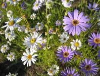 .webp
