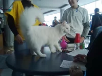 26012013245.webp