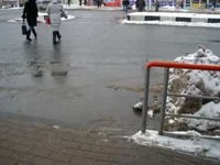 f6674324.webp