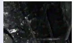hren2.webp