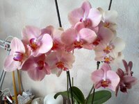 21072012512.jpg