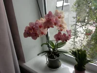 22072012513.jpg