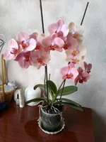 21072012510.webp