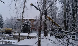 IMAG0098.webp