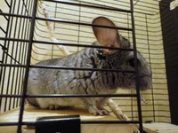 DSC01455.webp