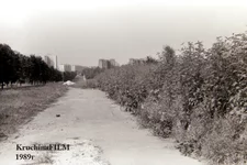 1355-1.webp