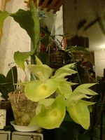 DSC04416_1.jpg